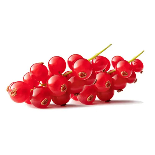 Buy Fresh & Premium Fruits & Vegetables Online in UAE | NRTC Fresh